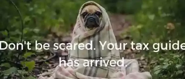 Dog wrapped in a blanket - Upstart Personal Loans
