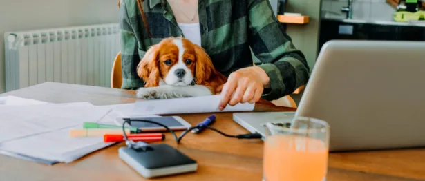 Woman with dog at a computer