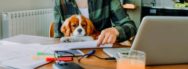 Woman with dog at a computer