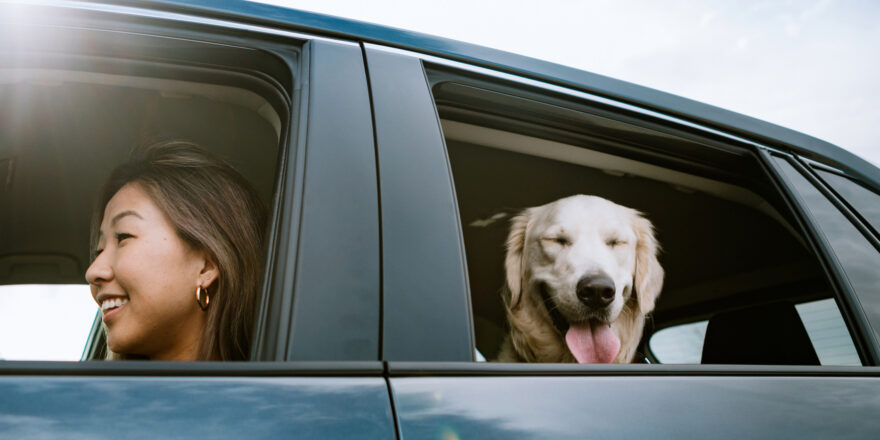 Woman in a car with her dog - Upstart Personal Loans