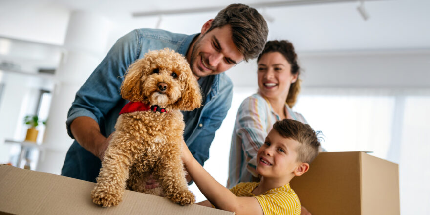 A family packs boxes before a move while considering a home equity loan or HELOC