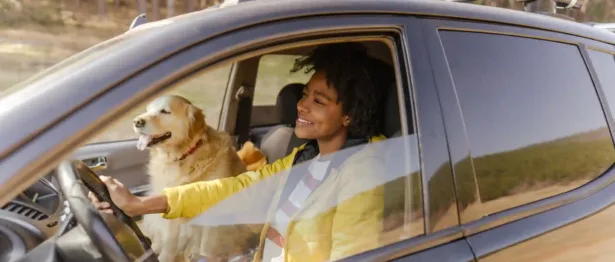 Woman drives her car with her dog in the passenger seat while considering a car loan transfer