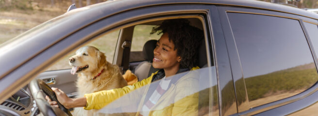 Woman drives her car with her dog in the passenger seat while considering a car loan transfer