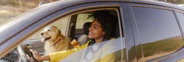 Woman drives her car with her dog in the passenger seat while considering a car loan transfer