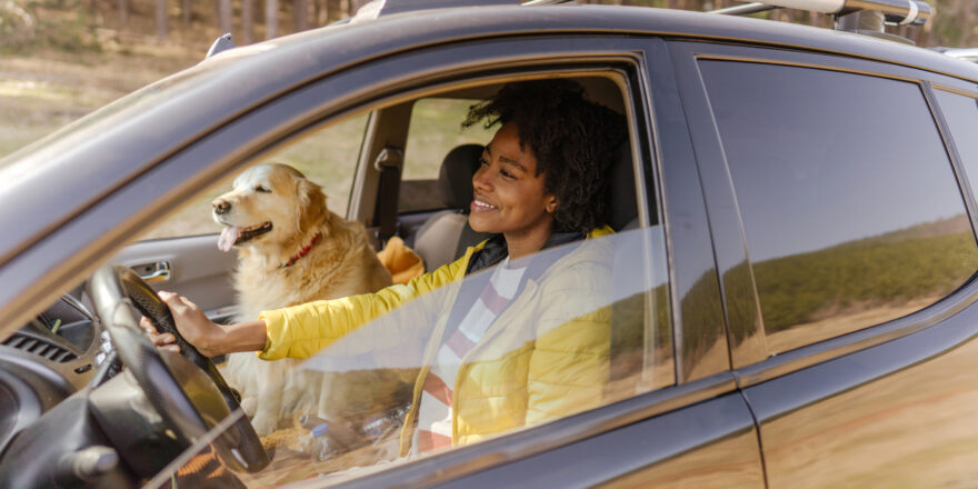 Woman drives her car with her dog in the passenger seat while considering a car loan transfer